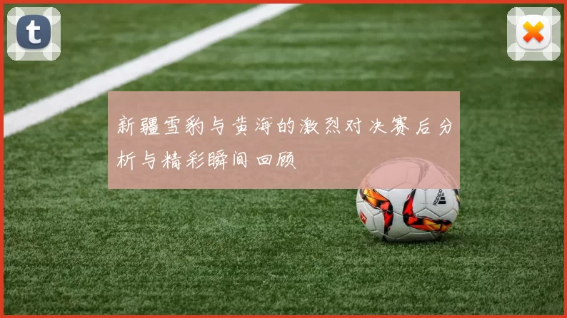 新疆雪豹与黄海的激烈对决赛后分析与精彩瞬间回顾