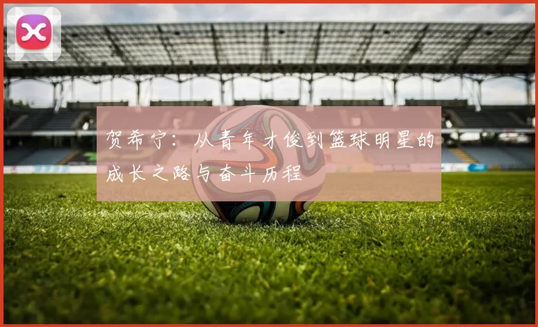 贺希宁：从青年才俊到篮球明星的成长之路与奋斗历程